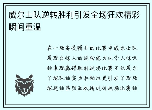 威尔士队逆转胜利引发全场狂欢精彩瞬间重温