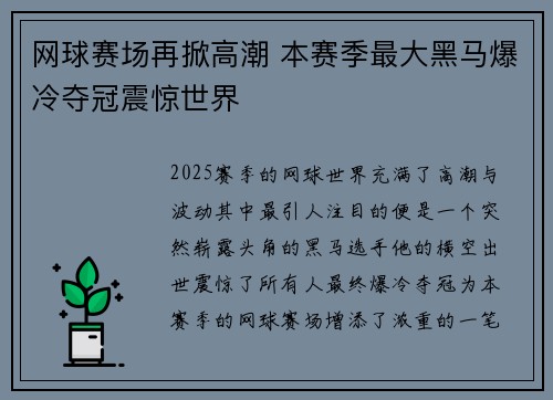 网球赛场再掀高潮 本赛季最大黑马爆冷夺冠震惊世界